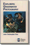 Exploring Underwater Photography