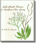 Salt Marsh Flowers of Southern New Jersey