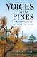 Voices in the Pines